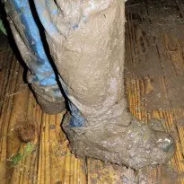 a chilly evening in the mud